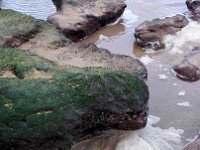 IMG 20160310 120751