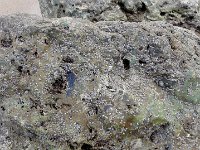 IMG 20160310 122144