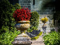 2016-Loire-50-5735 : Chateaux, Frankrijk, Loire, Vilandry
