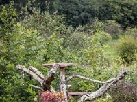 Asturias-2785
